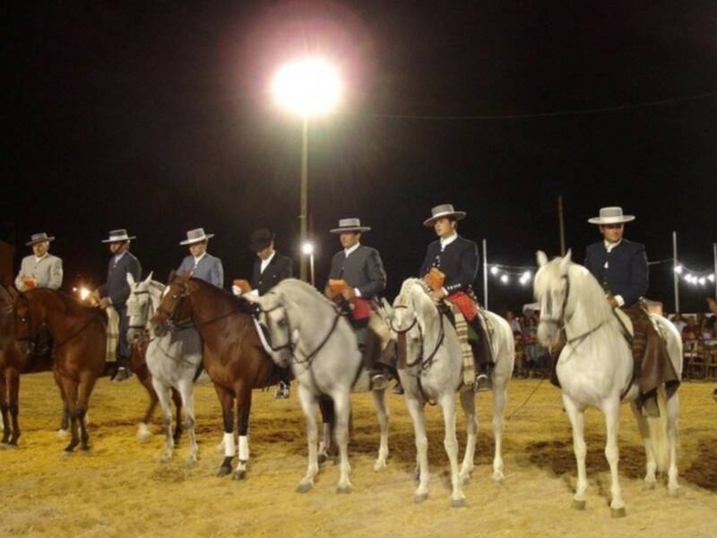  Salteras celebra su III exhibición ecuestre a beneficio de la carreta del simpecado de la hermandad del rocío 