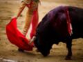 Un torero con traje tradicional y capa roja se enfrenta a un toro en una plaza de toros. La escena captura la intensidad y el arte del toreo, con el toro mostrando su fuerza y agresividad.
