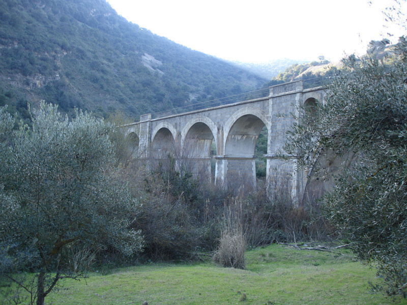 Coripe
