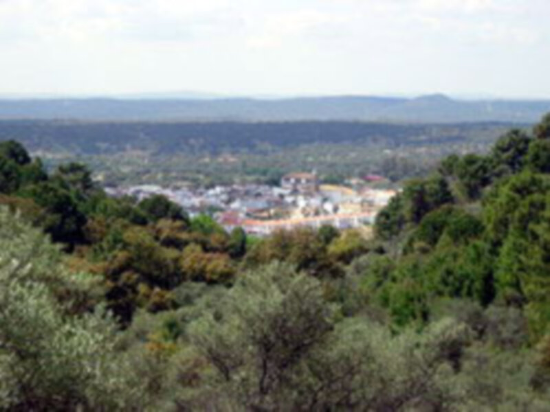 El Pedroso 