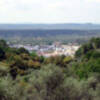 El Pedroso 