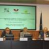 El Tercer Sector presenta sus propuestas para una política de cohesión social 