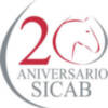 Como quiera que en  Noticias Cofrades del Sur tenemos corazón y late por las cosas importantes de Sevilla y este año, se celebra el 20 Aniversario de SICAB, abrimos una venta a SICAB 2010.