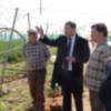 El alcalde y el delegado de Agricultura visitan los invernaderos afectados por el temporal(Chipiona)