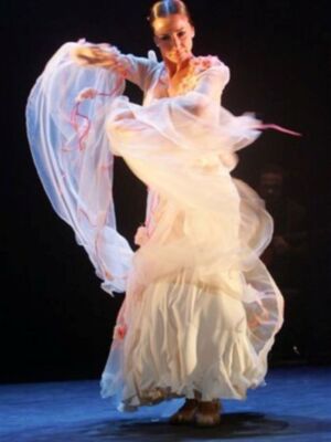 Los Alba apoyan a Cecilia Gómez la ex de Fran Rivera en Sevilla