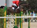 Un jinete en un caballo salta sobre una cerca de obstáculos durante una competición ecuestre.