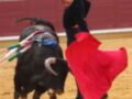 Un torero en acción durante una corrida de toros, con el toro en el centro y el público al fondo.