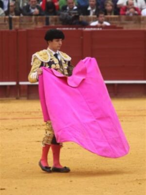 El Juli abrió la puerta del príncipe