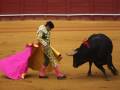 Un torero con una capa rosa y un traje tradicional se enfrenta a un toro negro en el centro de una plaza de toros. El suelo es de arena y la pared de fondo es roja.