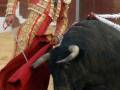 Un torero en traje tradicional de color rojo y dorado lucha con un toro negro en una plaza de toros. El torero sostiene un capote rojo, mientras el toro se mueve en el fondo.