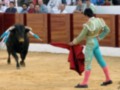 Un torero con un chaleco verde y azul, pantalones azules y calcetines rosados, lucha con un toro negro en una plaza de toros. El torero sostiene un capote rojo y lucha con el animal. La arena es de tierra, y hay espectadores en la gradería detrás del toro.