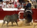 Un torero monta un caballo en una corrida de toros, con un toro negro frente a él. La imagen muestra la acción y el entusiasmo de la corrida, con espectadores en el fondo.