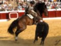 Jinete realizando una maniobra con caballo durante una corrida de toros en arena, rodeado por un público atento.