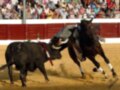 Un toro negro con una correa roja y blanca corre hacia un caballo negro en una plaza de toros. El público observa atentamente desde los muros rojos.