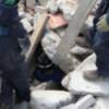 Bomberos y Policía Local se forman en el rescate canino de personas mediante el Método Arcón