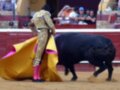 Un torero en traje tradicional de color dorado y rosa, luchando contra un toro negro en una plaza de toros. El público observa desde las gradas.