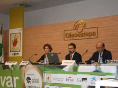 Estepa acoge las I Jornadas Rentabilidad y Futuro del Olivar de Andalucía 