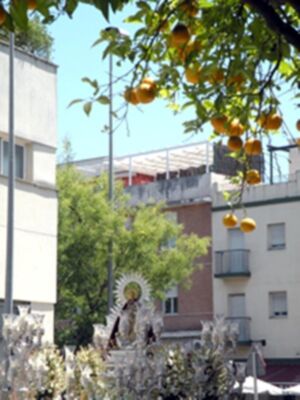 Procesión extraordinaria de la Stma Virgen del Patrocinio Gloriosa