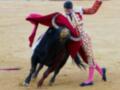 Un torero en traje tradicional lucha con un toro negro en una plaza de toros.