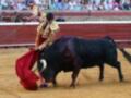 Un torero en traje tradicional lucha con un gran toro negro en una plaza de toros, mientras el público observa desde las gradas.