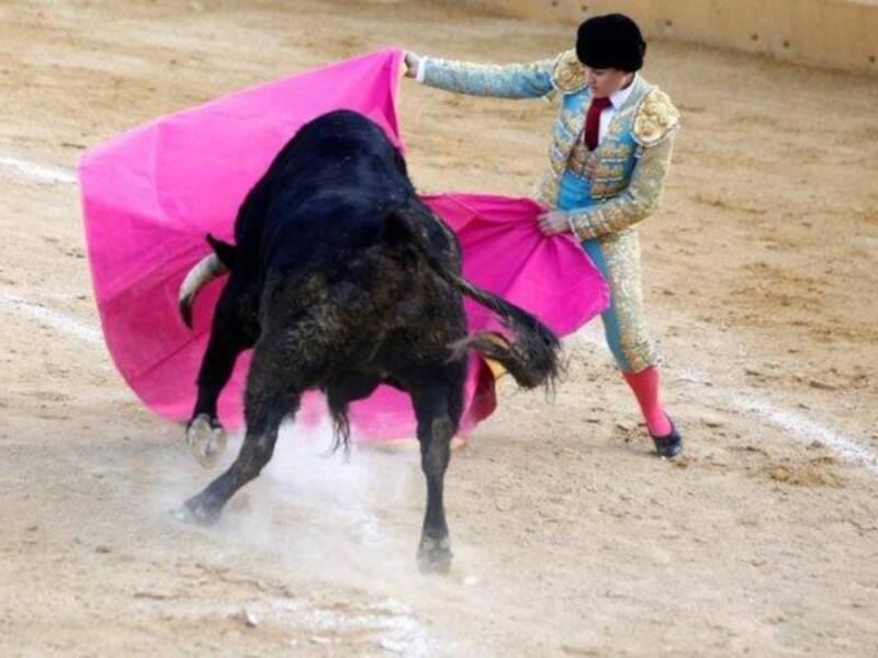 Carmen Bazán ejerce de abuela orgullosa con los hijos de Jesulín y María José campanario  