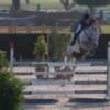 Los Jinetes de Pineda dominan la primera jornada del Campeonato de Andalucía de Saltos