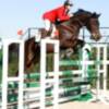 Comienza en el Club Pineda el Campeonato de Andalucía de Saltos de Obstáculos