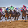  La obra titulada Competencia primer Premio Certamen fotográfico Carreras de caballos de Sanlúcar de Barrameda&#8207;