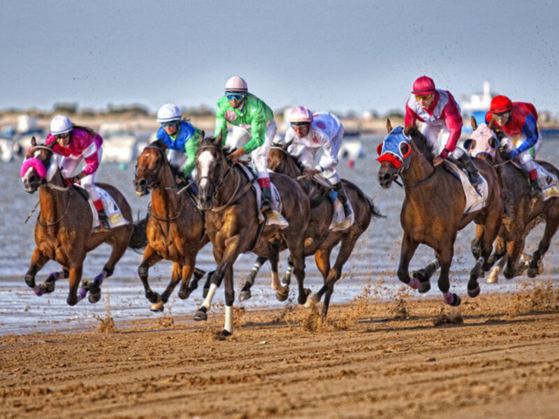  La obra titulada Competencia primer Premio Certamen fotográfico Carreras de caballos de Sanlúcar de Barrameda&#8207;