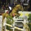 Más de 130 Caballos este fin de semana en el Concurso Nacional de Saltos 2*