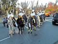Desfile de caballería histórica en una calle urbana, con uniformes tradicionales y caballos blancos.