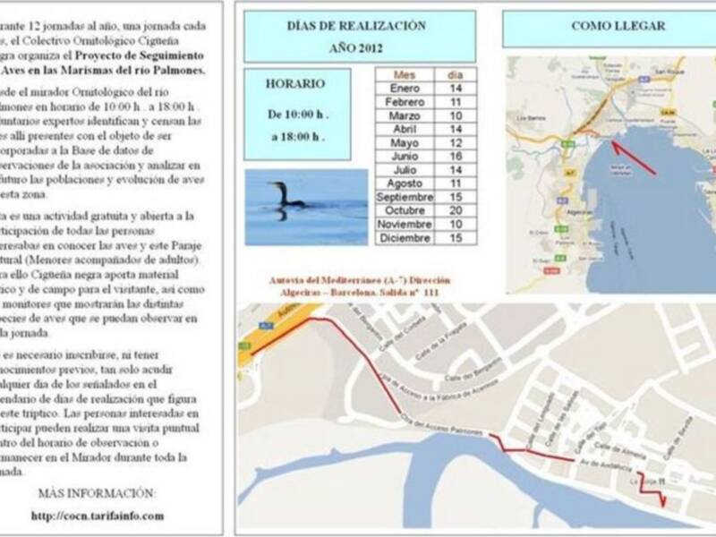 Proyecto anual de seguimiento de aves en el paraje natural de las marismas del río Palmones