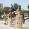 Inicia el Concurso Nacional de Saltos 2* en el Club Pineda