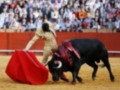 Un torero con un traje tradicional de color dorado y una muleta roja se enfrenta a un toro negro en una plaza de toros. La audiencia observa atentamente la escena.