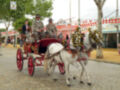 Un carruaje de caballos blanco y rojo con decoraciones florales se mueve por una calle adoquinada, acompañado de tres hombres en trajes formales. La escena está rodeada por árboles y una estructura de decoración festiva.