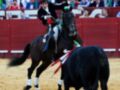 Un torero montando un caballo negro en una plaza de toros, con un toro negro detrás. La imagen muestra a los espectadores en el fondo.