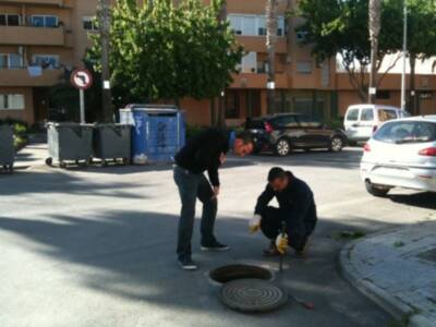 El día cuatro de junio comenzará la campaña de desratización y desinsectación con vistas al verano(Chipiona)