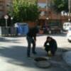 El día cuatro de junio comenzará la campaña de desratización y desinsectación con vistas al verano(Chipiona) 