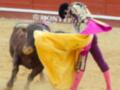 Un torero en acción durante una corrida de toros, mostrando habilidad y valentía en la plaza de toros.