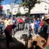 CANS planta un árbol en el lugar de la Plaza de Abastos donde fue talado otro(Chipiona)