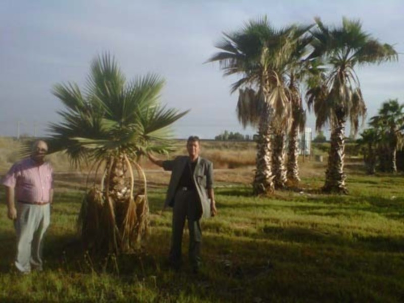 Empresarios argelinos visitan Andalucía, muy interesados en el modelo de desarrollo del Turismo y en la Agricultura intensiva.