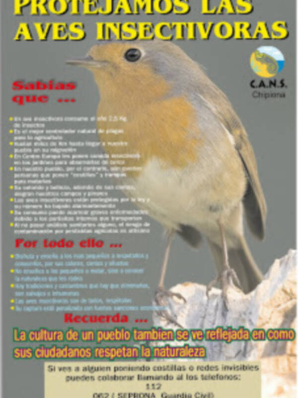 AVES INSECTÍVORAS ¡¡NO LAS CONSUMAS!! (Chipiona)