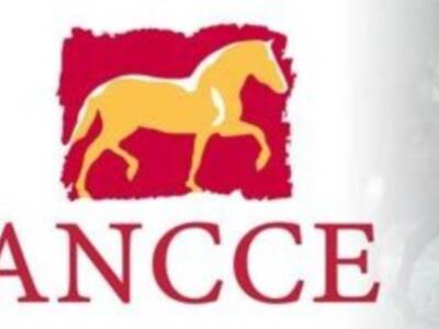Así será el SICAB 2012. El Alcalde de Sevilla presidirá el acto inaugurar del Salón Internacional del Caballo hoy martes a las 20:00 horas.