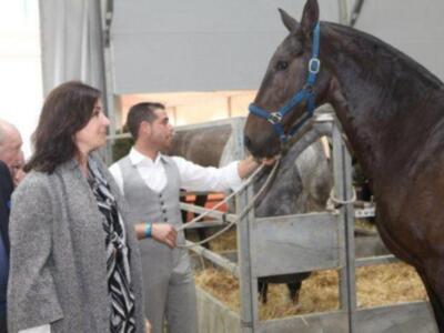 Carmen Martínez Bordiú inaugura el salón del caballo en Sevilla