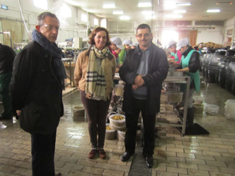 Empresarios argelinos visitan Andalucía interesados en la compra de tecnología del olivar.