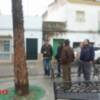 PSOE HACE LEÑA DEL ARBOL CAÍDO(Chipiona)