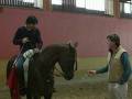 Un hombre monta un caballo en una arena de equitación mientras otro observa. El caballo lleva una silla de montar y un estandarte rojo. La pared al fondo es rosada con una barandilla metálica.