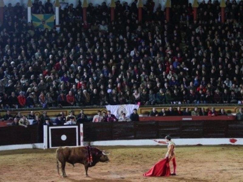 El Juli reaparece en Olivenza y sale por la puerta grande