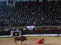 Una torera con un traje de luces roja y blanco se encuentra frente a un toro en una plaza de toros. La audiencia, compuesta por personas sentadas y algunos en pie, observa la escena. La imagen se centra en el encuentro entre la torera y el animal, capturando un momento de la tradicional corrida de toros.