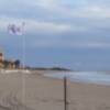 Playas retira las banderas tras comprobar que no hay  presencia de medusas(Chipiona)